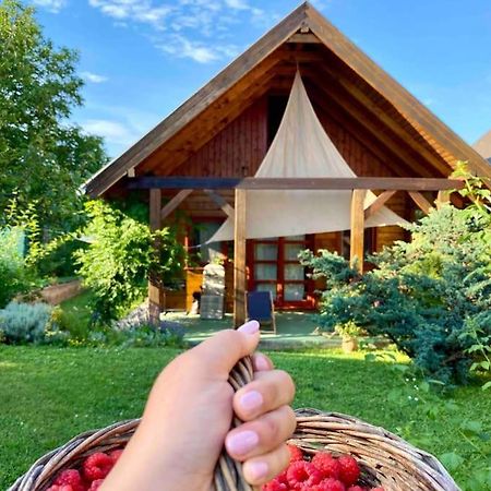 Malnas Vendeghaz-Raspberry Guesthouse Nagymaros Dış mekan fotoğraf