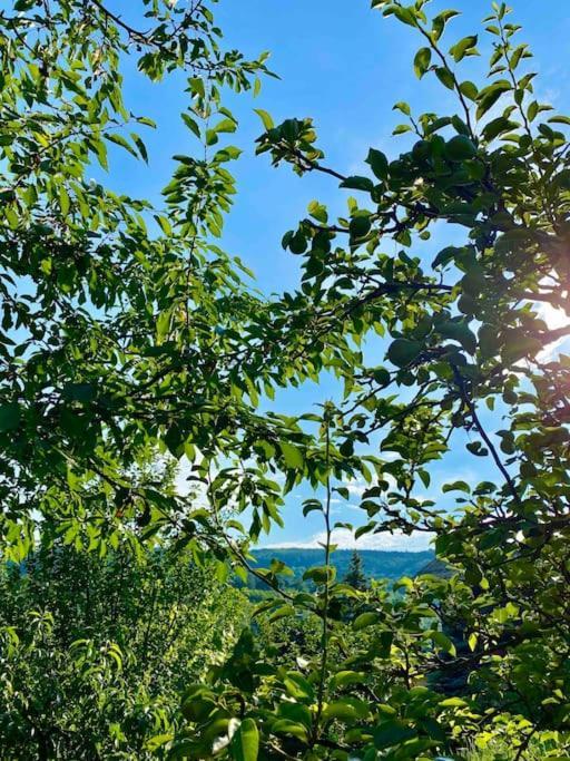 Malnas Vendeghaz-Raspberry Guesthouse Nagymaros Dış mekan fotoğraf