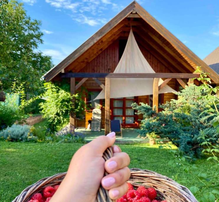 Malnas Vendeghaz-Raspberry Guesthouse Nagymaros Dış mekan fotoğraf